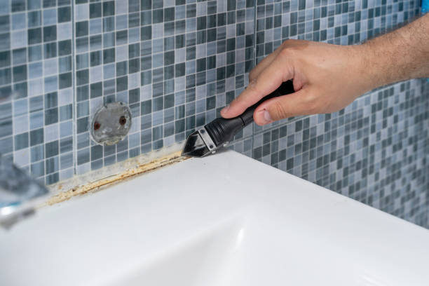 Best Home Mold Removal  in De Soto, IL