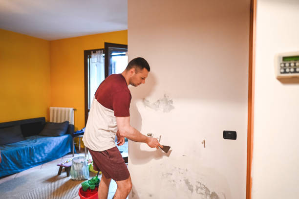 Mold Removal Process in De Soto, IL